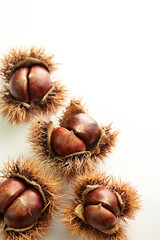 chestnuts on a white background	