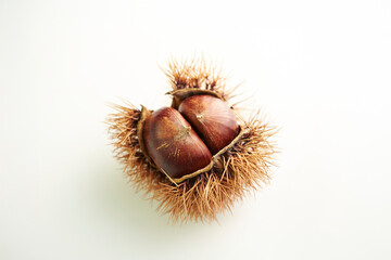 chestnuts on a white background	