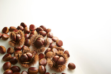 chestnuts on a white background	