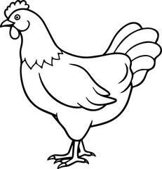 Chicken Line Art on a Clean White Background