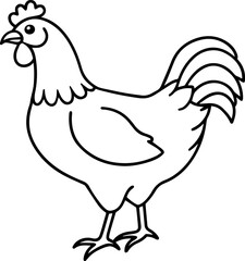 Chicken Line Art on a Clean White Background