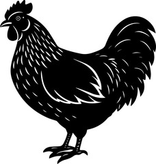 Chicken Silhouettes on a Clean White Background