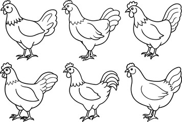 Set of Chicken Line Art on a Clean White Background