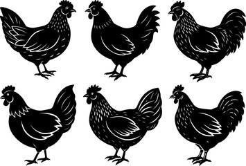 Set of Chicken Silhouettes on a Clean White Background
