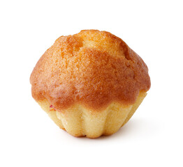 Delicious mini cake baked to a golden brown, perfect for dessert or snack time any day
