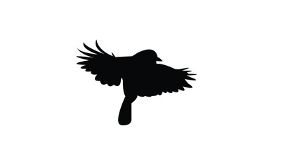 Flying Tit  Bird Silhouette Design  And Vector Illustration. 