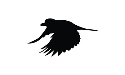 Flying Tit  Bird Silhouette Design  And Vector Illustration. 