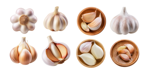 Fresh Garlic Varieties on Transparent Background