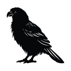 Fototapeta premium Barbet vector silhouette illustration black color