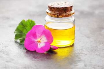 Geranium oil or extract  on black background with fresh flowers nearby, copy space, natural medicine,  natural hair and skin treatment, aromatherapy concept