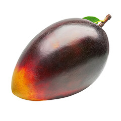 Mango fruit isolated