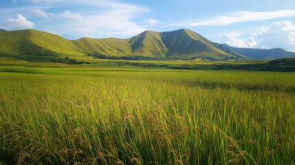 Fototapeta premium Lush Rice Fields and Volcanic Grandeur Under the Azure Sky.