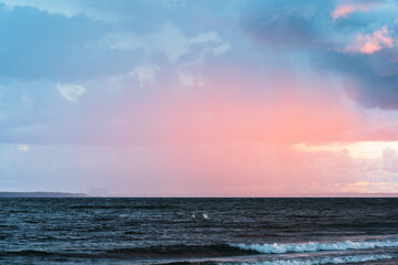 Harbingers of a Storm: Rain clouds gather over the Baltic Sea, swans ride the waves, and a dramatic sunset illuminates the Estonian coast.