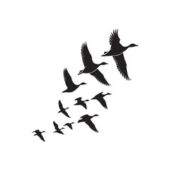 flying duck silhouette vector line art design