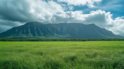 Fototapeta premium Rolling Green Fields and the Grandeur of Volcanic Peaks.