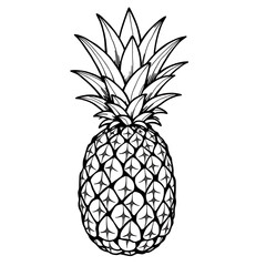 Obraz premium A thick-lined doodle of a pineapple with a detailed crown of leaves and textured body, drawn in bold outlines with no fill color on a plain white background.