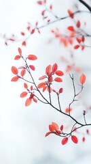 Naklejka premium Close-Up of Vibrant Red Autumn Leaves on Branch with Subtle Sky Background