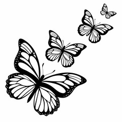 black and white butterfly