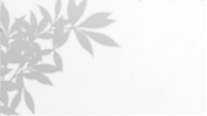 background with bamboo