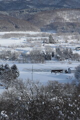 雪に覆われた真冬の田園地域　栗沢町