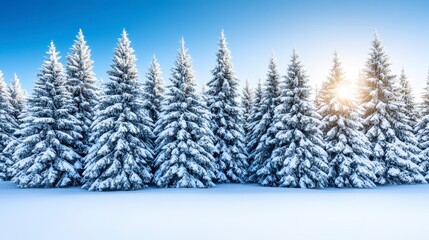 Naklejka premium A serene winter landscape featuring a dense forest of snow-covered evergreen trees under a clear blue sky