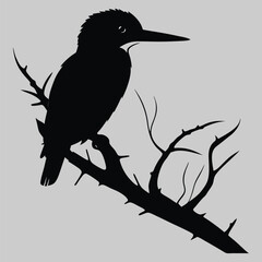 Kingfisher bird silhouette vector design art and illustration