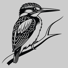Kingfisher bird silhouette vector design art and illustration