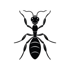 Ant (Formicidae) silhouette design, labeled linocut vector illustration.