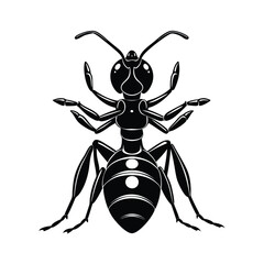 Ant (Formicidae) silhouette design, labeled linocut vector illustration.