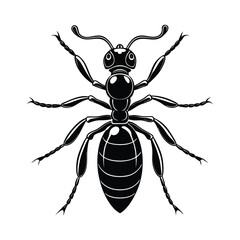 Ant (Formicidae) silhouette design, labeled linocut vector illustration.