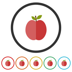 Apple fruit icon. Set icons in color circle buttons