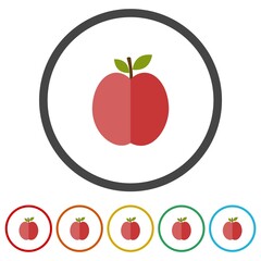 Apple fruit icon. Set icons in color circle buttons