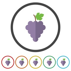 Grapes icon. Set icons in color circle buttons