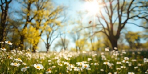 Serene Spring Meadow with Blooming Daisies and Sunlit Trees