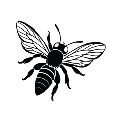Honeybee (Apis) silhouette design, labeled linocut vector illustration.