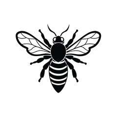 Honeybee (Apis) silhouette design, labeled linocut vector illustration.