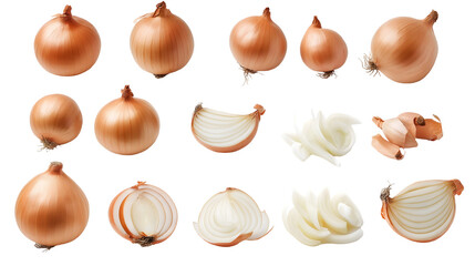 high-resolution PNG image features various presentations of onions, including whole onions, halved onions, and individual slices 