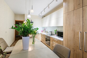 interior apartment kitchen and dining room, refectory area, cooking equipment, table furniture, stove