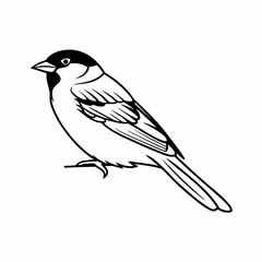 bird on a branch