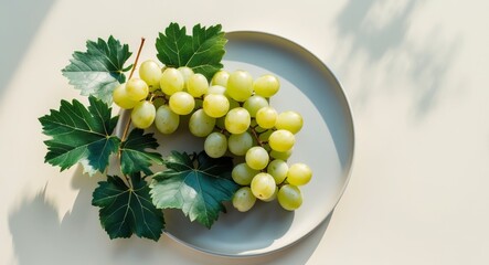 Top View of Decorative Round Plate with Green and Black Grapes Surrounded by Grape Leaves