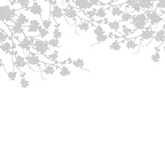 Silhouette Cherry Blossom Shadow on white background, Illustration isolated Shadow Sakura branches overlay,Elements design decoration for Spring,Summer Backdrop Background on Mothers Day,Valentine Day