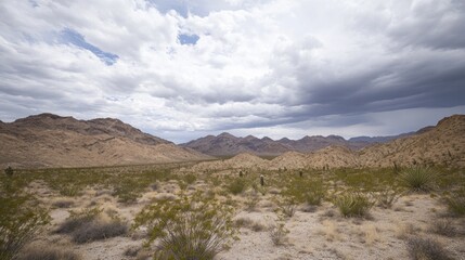 Desert Landscape Under a Dramatic Sky