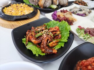 Spicy Stir fried Octopus. Korean food