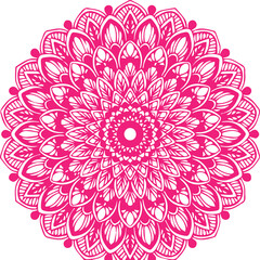 Beautiful flower art and mandala vector design