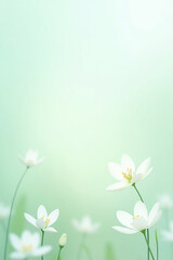 Feminine Mint Green Abstract Floral Pattern with Soft Petals Background. Generative AI