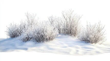 Obraz premium A snowy meadow with scattered frost-covered bushes, creating a calm winter scene on transparent background