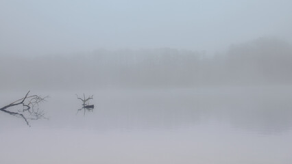 fog on the lake