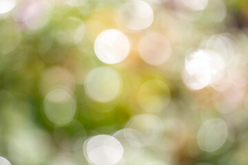 A blurry image of a green background with pink flowers