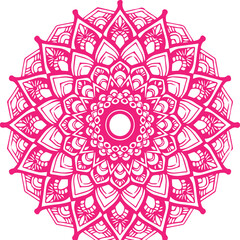 Beautiful flower art and mandala vector design