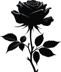 Obraz premium black rose with leaf showcasing delicate petals and captivating depth on white background.